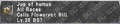 Thumbnail for version as of 22:10, 29 August 2026