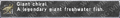 Thumbnail for version as of 22:54, 29 August 2026