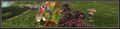 Thumbnail for version as of 21:34, 29 August 2026