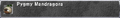 Thumbnail for version as of 22:06, 29 August 2026