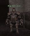 Thumbnail for version as of 22:09, 29 August 2026