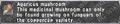 Thumbnail for version as of 22:05, 29 August 2026