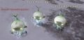Thumbnail for version as of 23:31, 29 August 2026