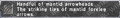 Thumbnail for version as of 21:02, 29 August 2026