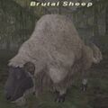 Thumbnail for version as of 21:23, 29 August 2026