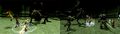 Thumbnail for version as of 23:26, 29 August 2026
