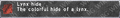 Thumbnail for version as of 21:04, 29 August 2026