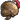 With Valoredge Head