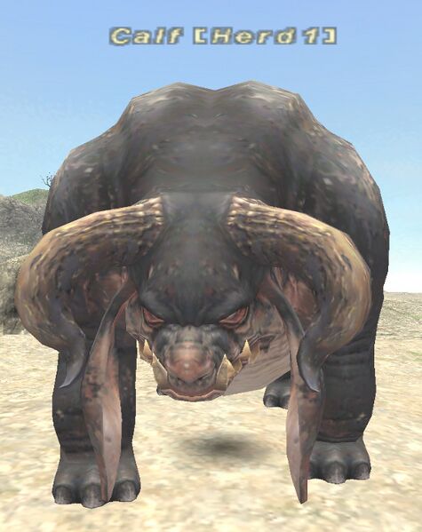 File:Calf.jpg