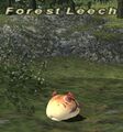 Thumbnail for version as of 23:47, 29 August 2026