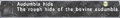 Thumbnail for version as of 21:17, 29 August 2026