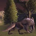 Thumbnail for version as of 23:41, 29 August 2026