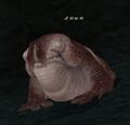 Thumbnail for version as of 22:51, 29 August 2026