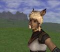 Thumbnail for version as of 22:44, 29 August 2026