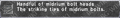Thumbnail for version as of 21:31, 29 August 2026