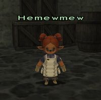 Guild Contract NPC