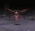 Thumbnail for version as of 21:57, 29 August 2026