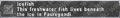 Thumbnail for version as of 21:53, 29 August 2026
