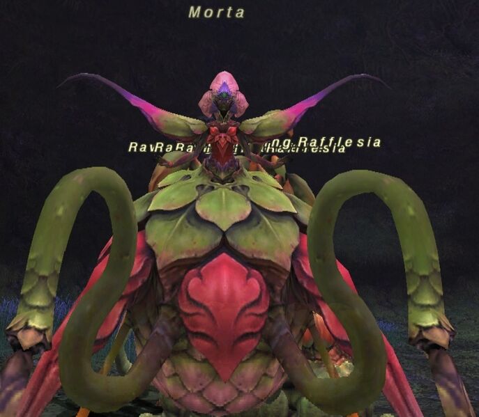 File:Morta.jpg