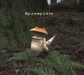 Thumbnail for version as of 21:46, 29 August 2026