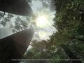 Thumbnail for version as of 23:12, 29 August 2026