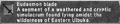 Thumbnail for version as of 21:47, 29 August 2026