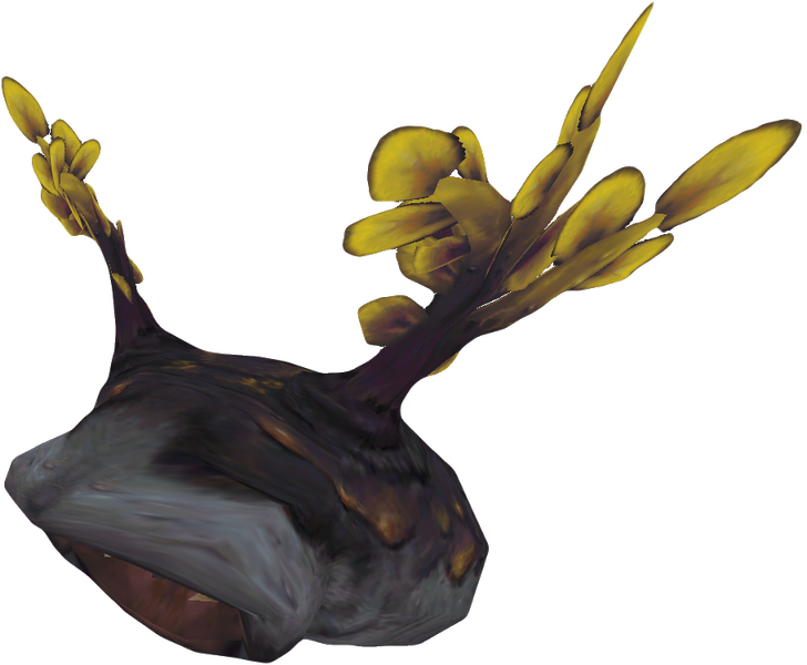 File:Leech 3.png