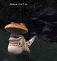 Thumbnail for version as of 23:19, 29 August 2026