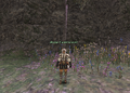 Thumbnail for version as of 22:49, 29 August 2026