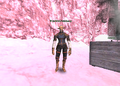 Thumbnail for version as of 23:34, 29 August 2026