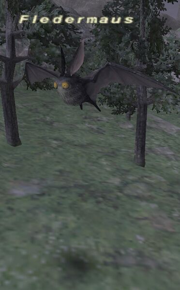 File:Fledermaus.jpg
