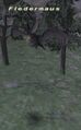 Thumbnail for version as of 23:00, 29 August 2026