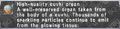 Thumbnail for version as of 21:30, 29 August 2026