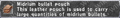 Thumbnail for version as of 22:19, 29 August 2026