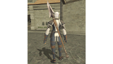 Coalition Lance