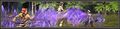 Thumbnail for version as of 23:24, 29 August 2026