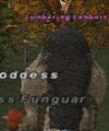 Thumbnail for version as of 23:01, 29 August 2026